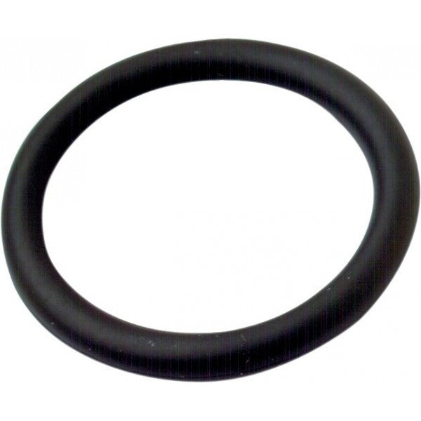 O-Ring M22 Cpling 2.4X9.3 Vi70
