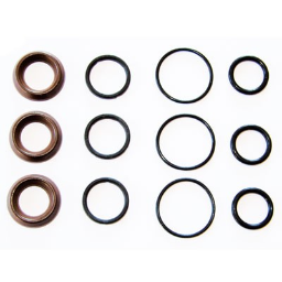 Interpump Water Seal Kit